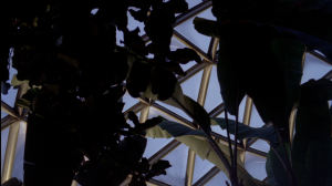 Opening this Thursday at 7pm: Cultivating Equilibrium