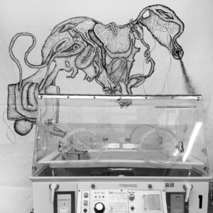 Black and white photograph of a work of art by Aileen Bahmanipour, depicting a glass-domed incubation tank with a abstract illustration hovering above