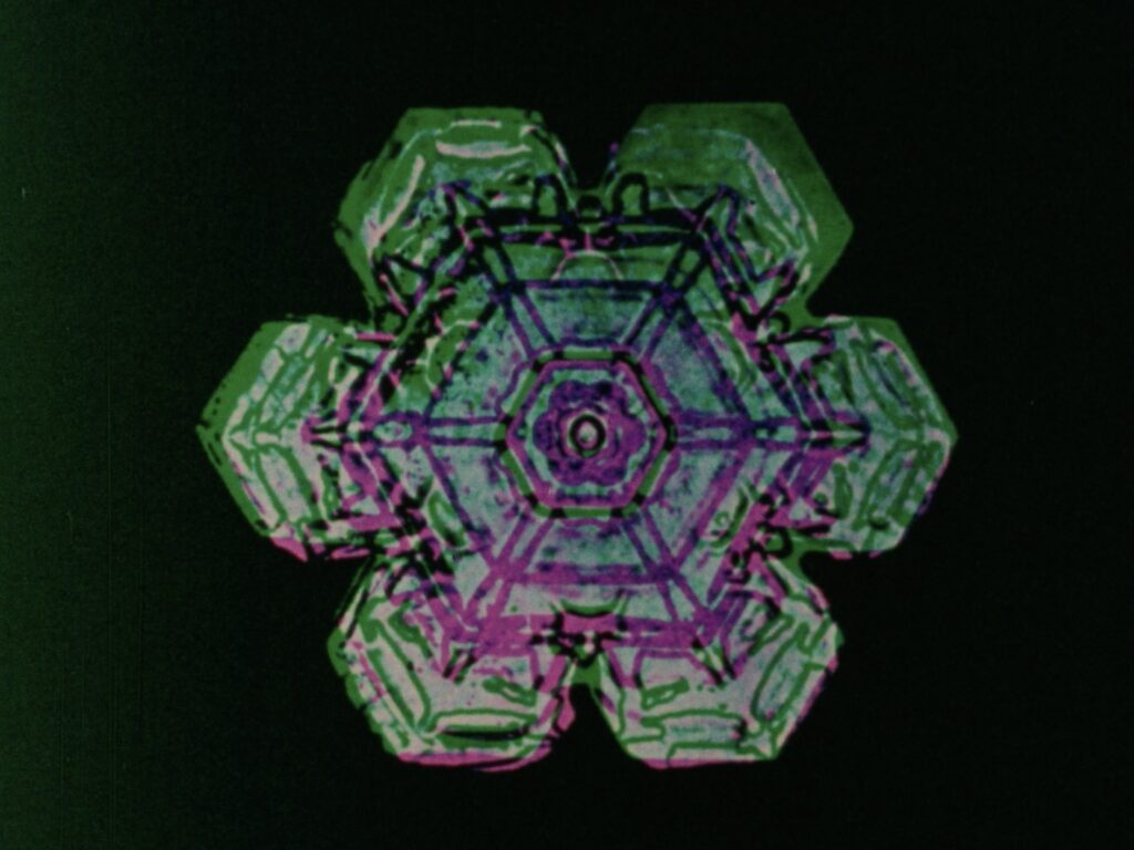 a purple and green photograph of a snowflake on a black background.